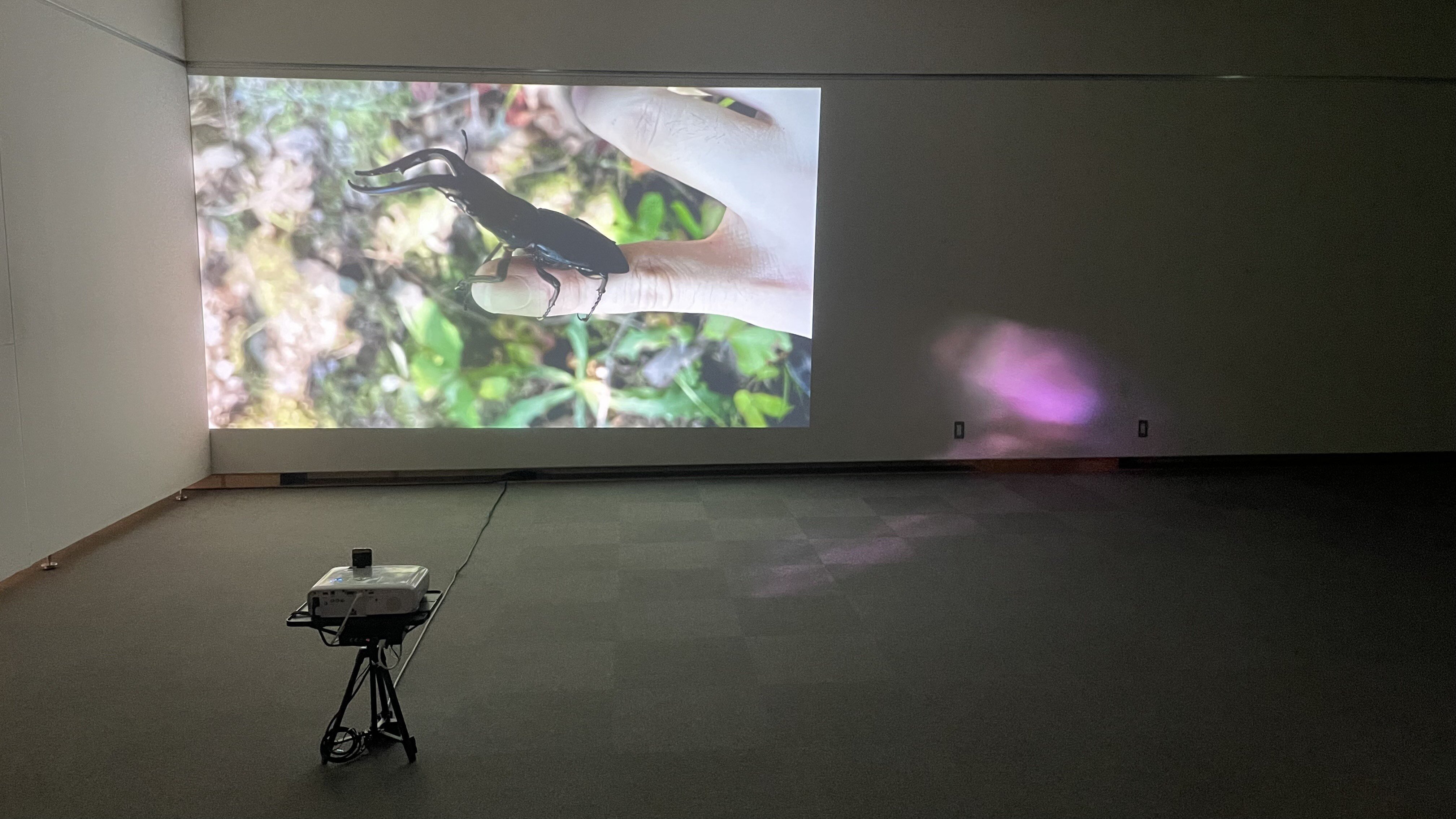 http://aichitriennale.jp/ala/project/9ceb7289120caa8f6c65762217a0742f686da0df.jpeg