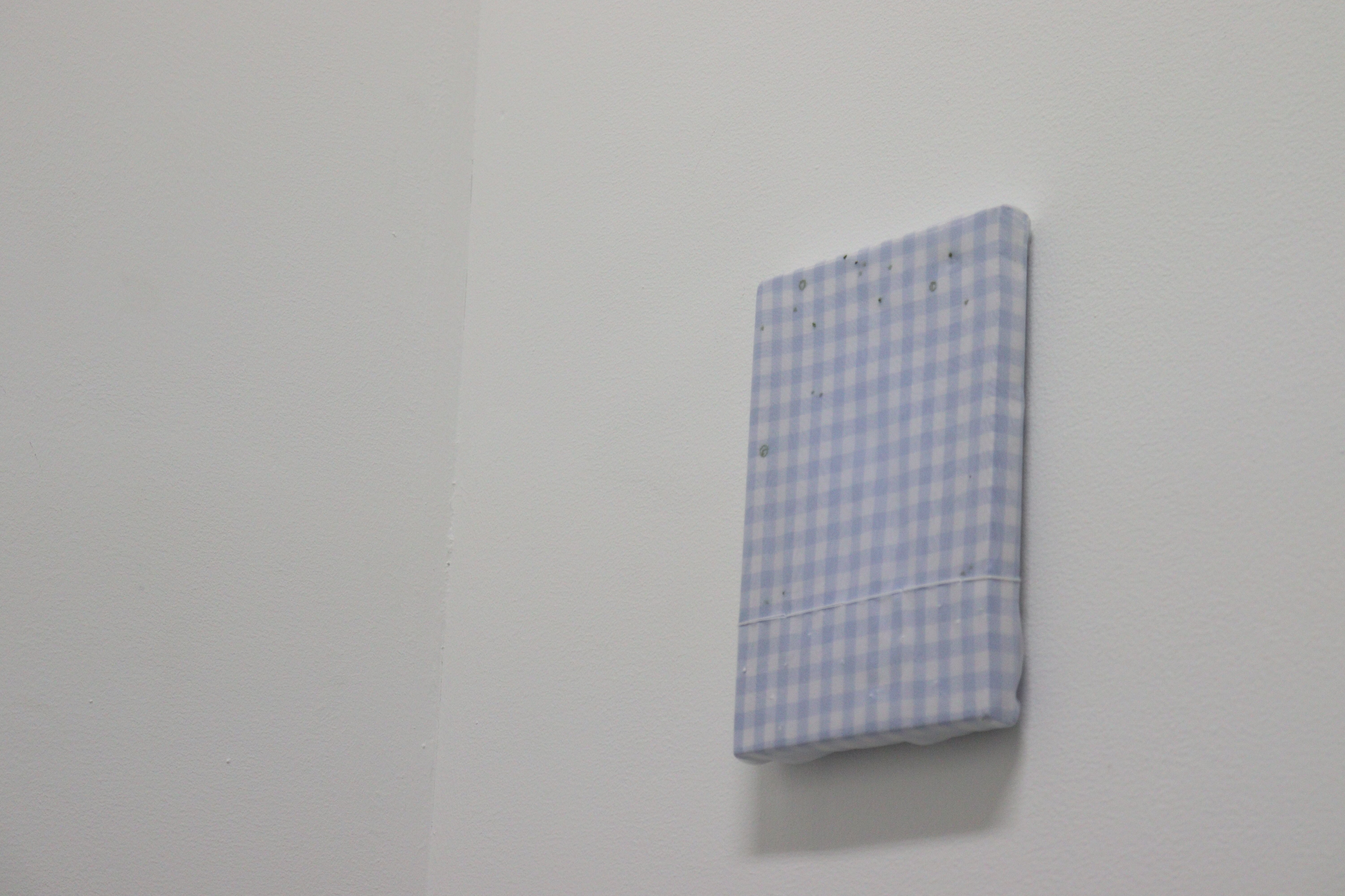 http://aichitriennale.jp/ala/project/IMG_5206.JPG