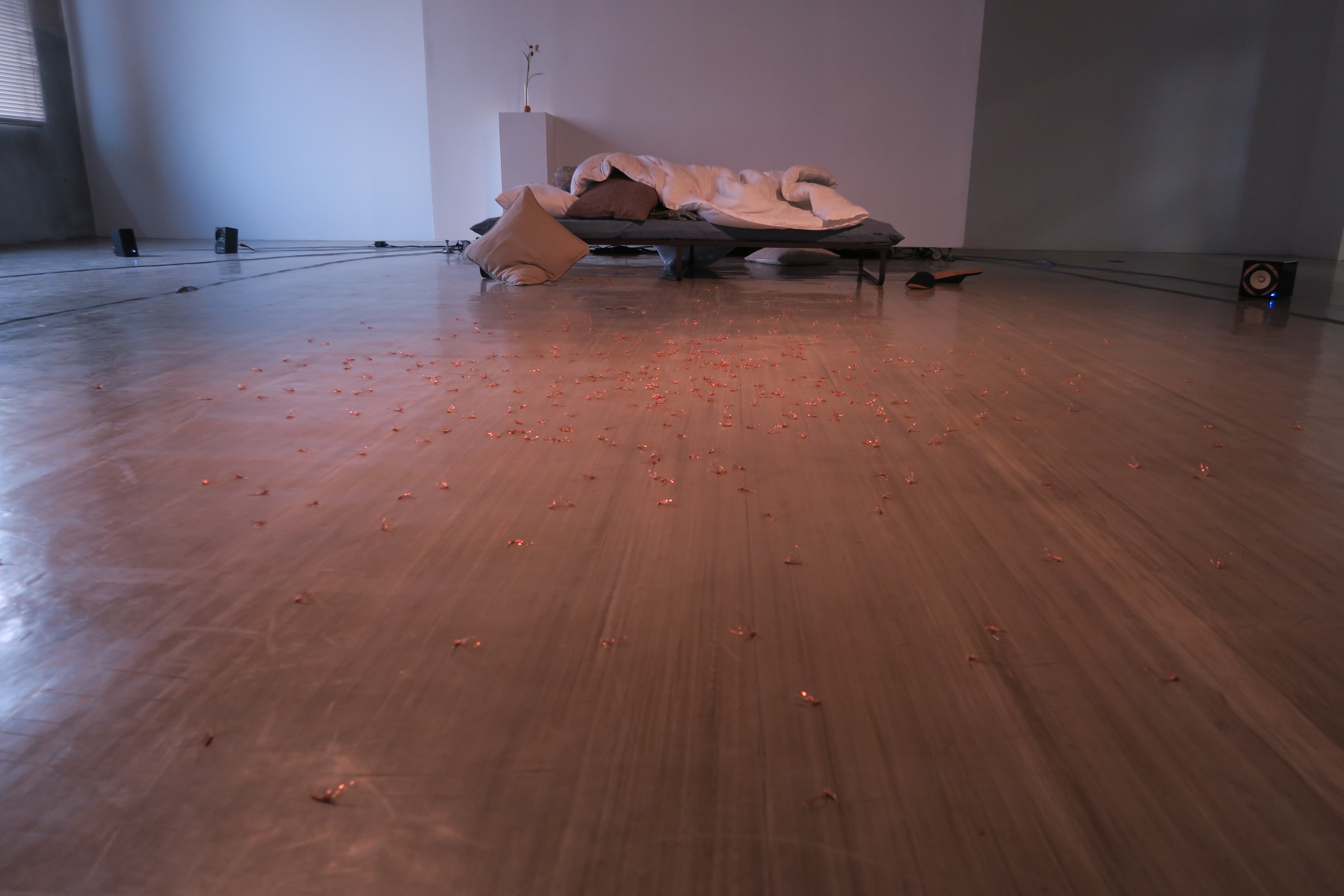 http://aichitriennale.jp/ala/project/item/IMG_0418.JPG