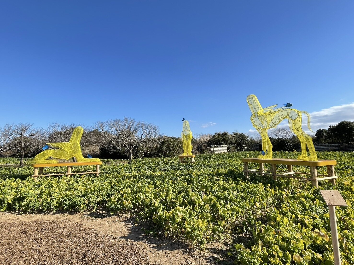 https://aichitriennale.jp/news/item/S__5316616.jpg